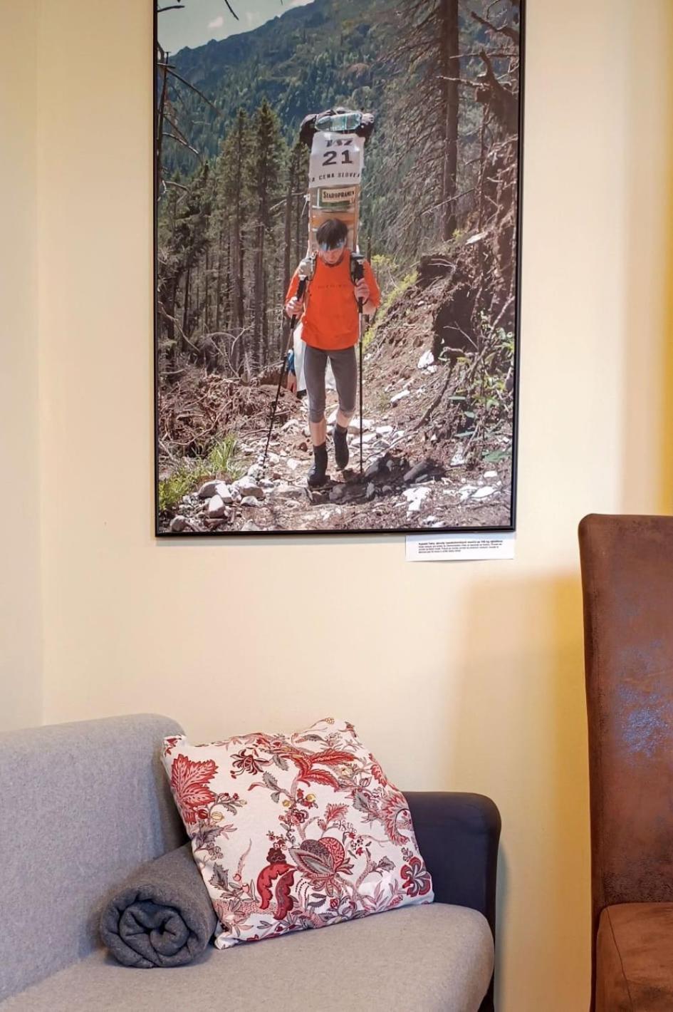 Guest House Sherpa Moravská Třebová Dış mekan fotoğraf